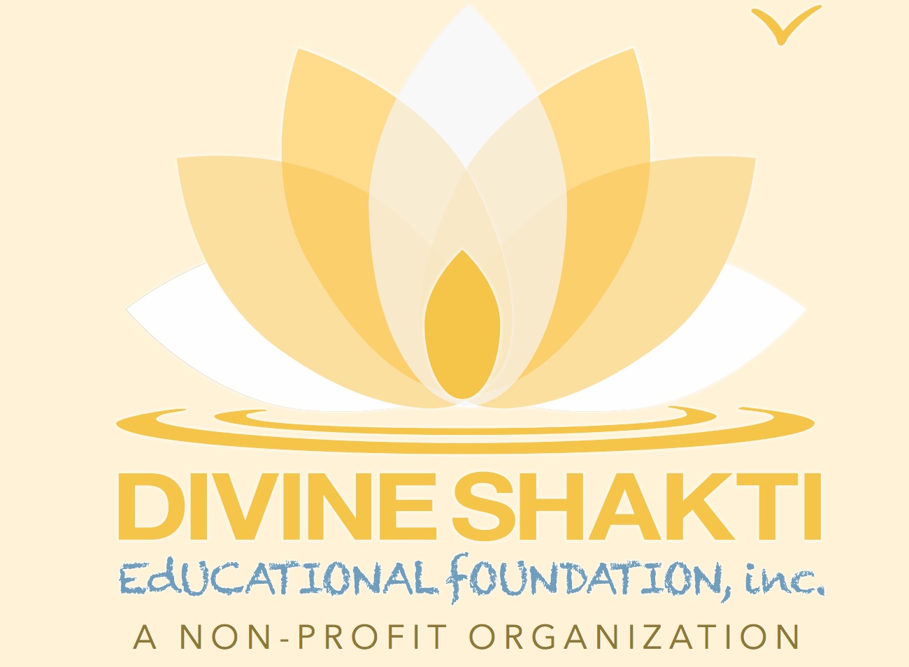 Divine Shakti Educational Foundation